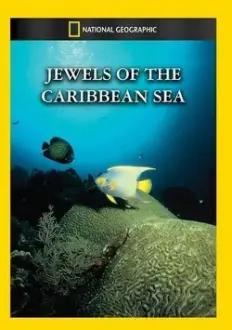 Jewels of the Caribbean Sea