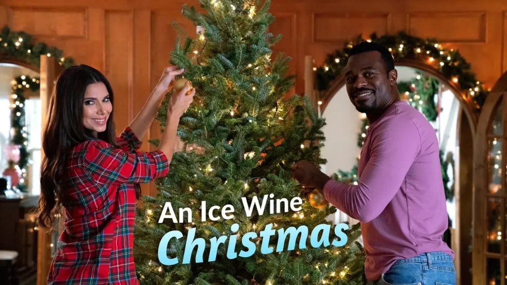 Um Natal com Amor e Vinho