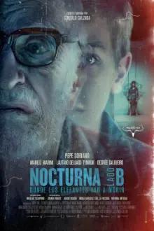 Nocturna - Side B: Where the Elephants Go to Die