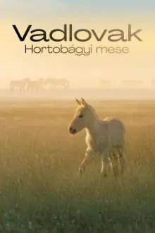 Wild Horses - A Tale From The Puszta