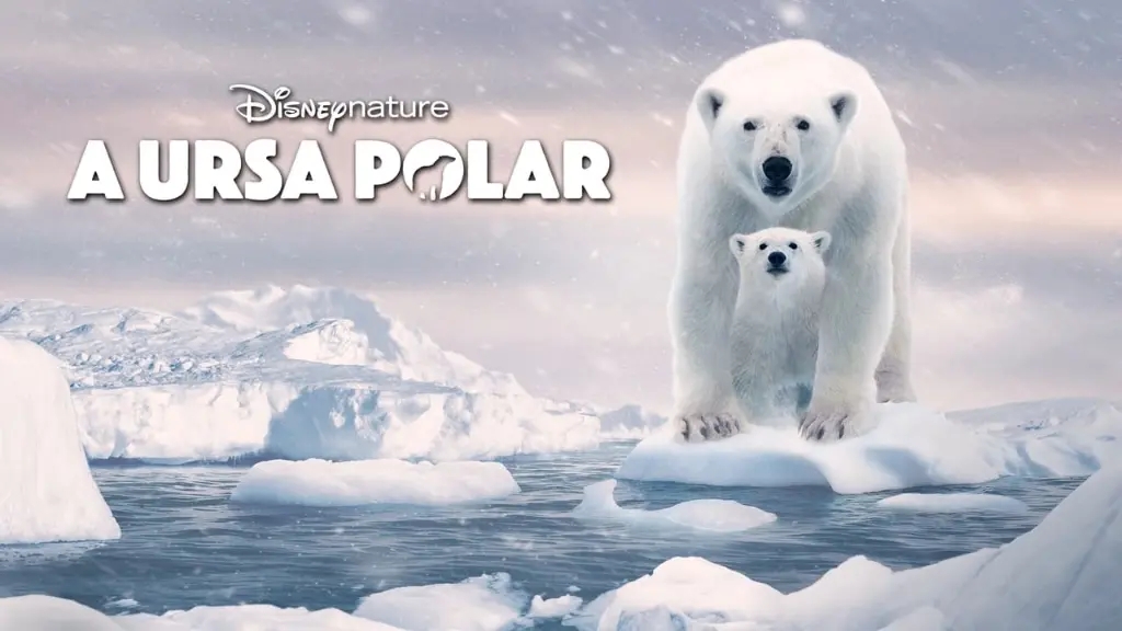 A Ursa Polar