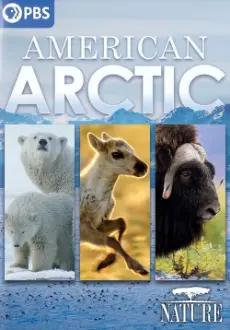 Nature: American Arctic