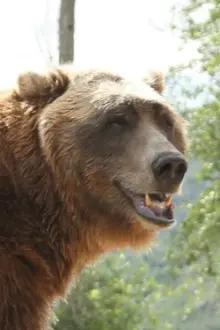Bart the Bear como: The Kodiak Bear
