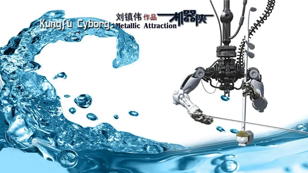 Metallic Attraction: Kungfu Cyborg (2009)