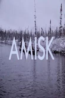 Amisk