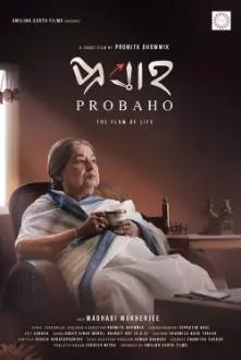 Probaho - The flow of life