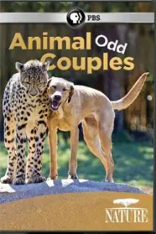 Animal Odd Couples