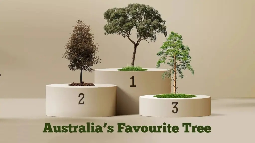 Australia's Favourite Tree