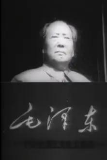 毛沢東--その生涯と文化大革命--