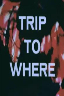 LSD: Trip to Where?