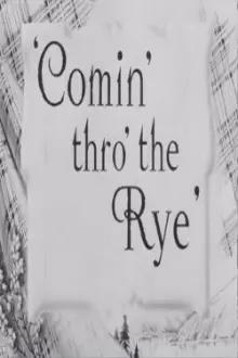 Comin' Thro the Rye