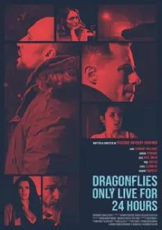 Dragonfiles Only Live for 24 Hours