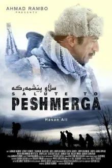 Behind the Clouds: Salute to Peshmerga