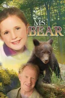 Senhora Bear