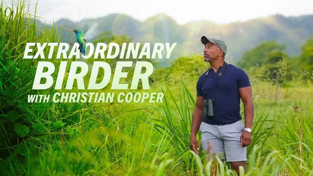 O Extraordinário Observador de Pássaros com Christian Cooper