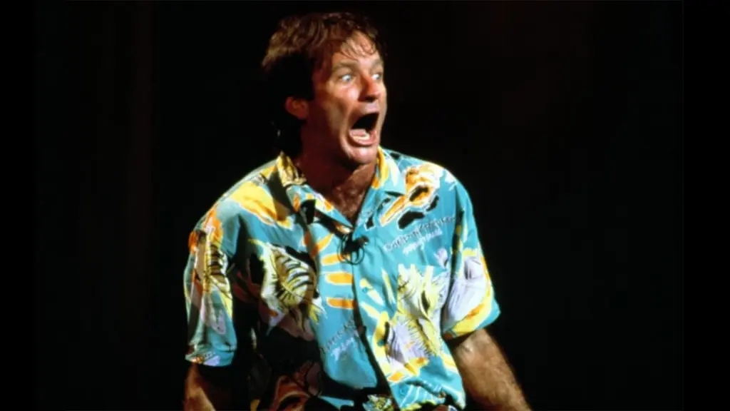 Robin Williams: An Evening at the Met