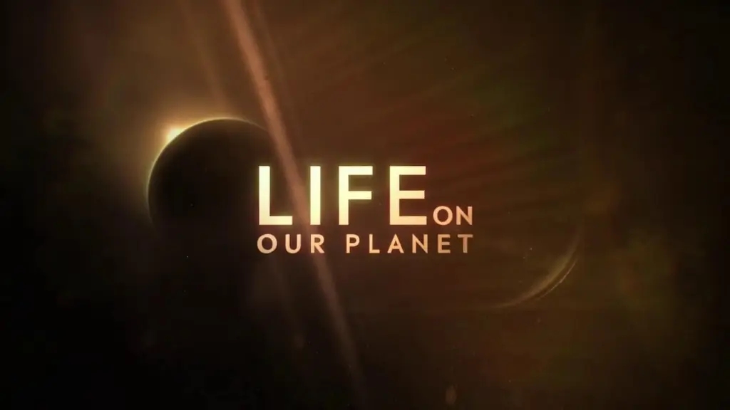 A Vida no Nosso Planeta