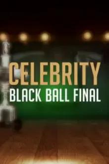 Celebrity Black Ball Final with Steve Davis